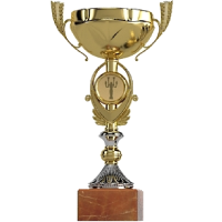 Shining World Caring Award, The Supreme Master Ching Hai International Association, Taiwan